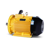 YE3/YE4/YE5 Series Three-phase Asynchronous Motor  (specially designed for air compressor)