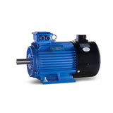 YVF2 Series Variable Frequency Control Speed Three-phase Asynchronous Induction Motor