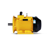 YE3/YE4/YE5 Series Three-phase Asynchronous Motor  (specially designed for air compressor)