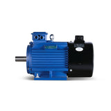 YVF2 Series Variable Frequency Control Speed Three-phase Asynchronous Induction Motor