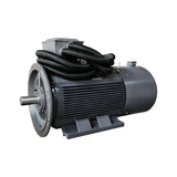 JPM series three phase permanent magnet synchronous motor (specially designed for air compressor)